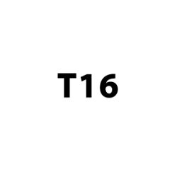 T16